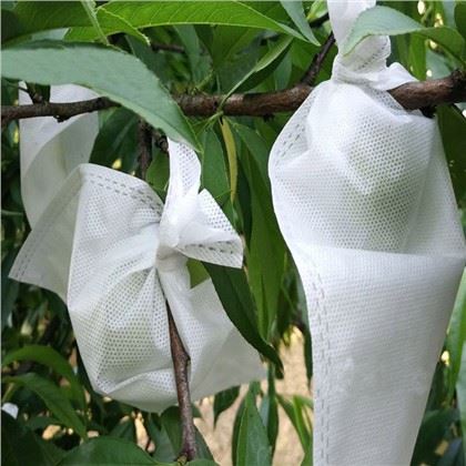 Bolsa de protección de frutas no tejidas